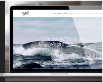 WordPressȫ��onepage������Ƶ��ҳ����ģ��Tides