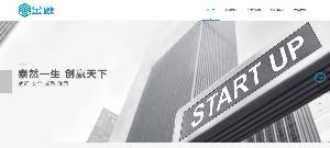 ֯¿ڹȨͶʹҵվģ(Ӧֻ)+SEOŻ