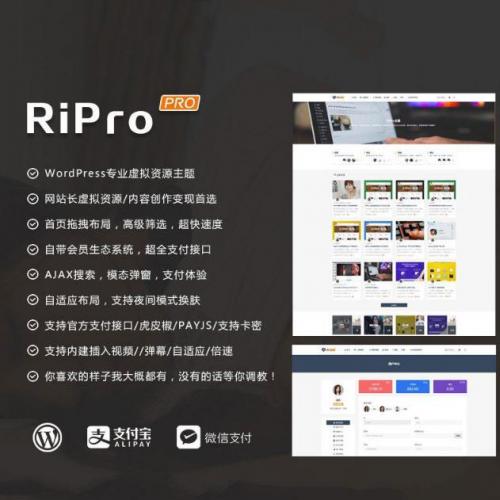 2019WordPress RiProV4.3.0ƽȥȨư汾
